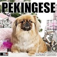 Pekingese 2026 Calendar
