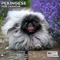 Pekingese 2026 Calendar