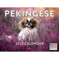 Pekingese 2026 Calendar