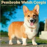 Pembroke Welsh Corgis 2026 Calendar