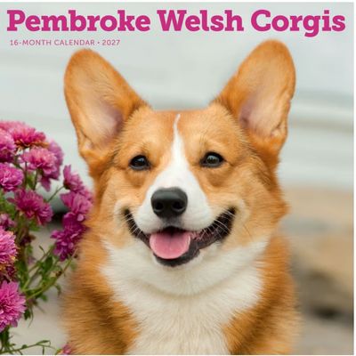 Pembroke Welsh Corgis 2027 Calendar