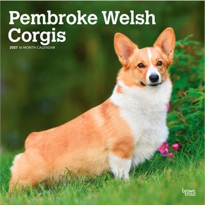 Pembroke Welsh Corgis 2027 Calendar