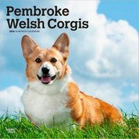 Pembroke Welsh Corgis 2026 Calendar