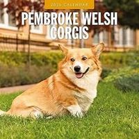 Pembroke Welsh Corgis 2026 Calendar