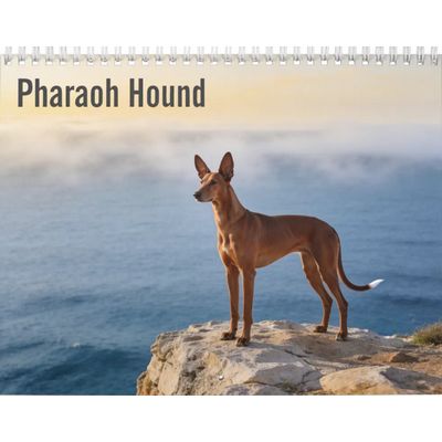 Pharaoh Hound 2027 Wall Calendar