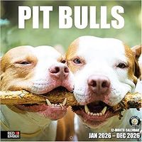 Pit Bull 2026 Wall Calendar