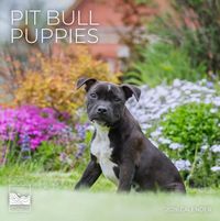 Pit Bull Puppies 2026 Calendar