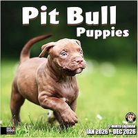 Pit Bull Puppies 2026 Calendar
