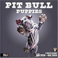 Pit Bull Puppies 2026 Calendar