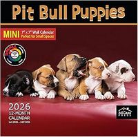 Pit Bull Puppies 2026 Calendar