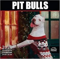 American Pit Bull 2026 Wall Calendar
