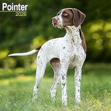 Pointer 2026 Calendar