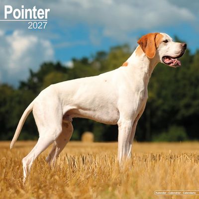 Pointer 2027 Wall Calendar