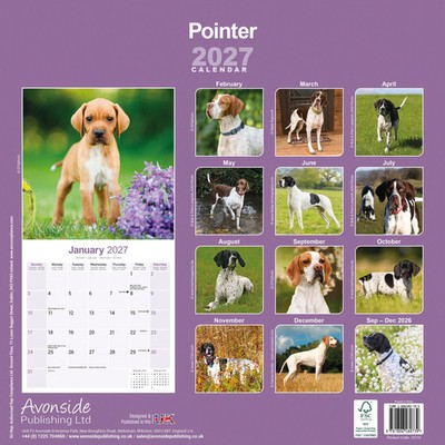 Pointer 2027 Wall Calendar