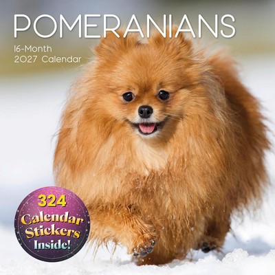 Pomeranians 2027 Calendar