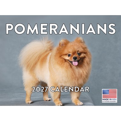 Pomeranians 2027 Calendar