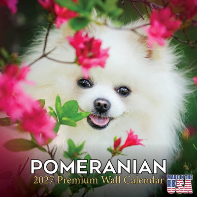Pomeranians 2027 Calendar
