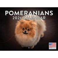 Pomeranians 2026 Calendar