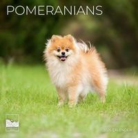 2026 Pomeranians Wall Calendar