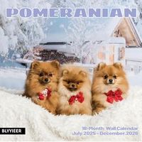 2026 Pomeranian Wall Calendar