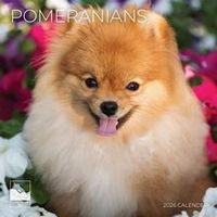 Pomeranians 2026 Calendar