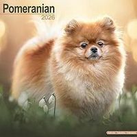 Pomeranians 2026 Calendar