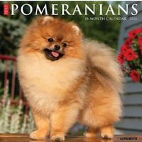 Pomeranians 2026 Calendar