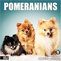 Pomeranians 2026 Calendar