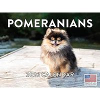Pomeranians 2026 Calendar