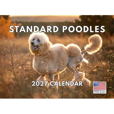 Standard Poodles 2027 Calendar