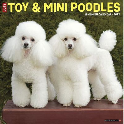 Poodles 2027 Wall Calendar