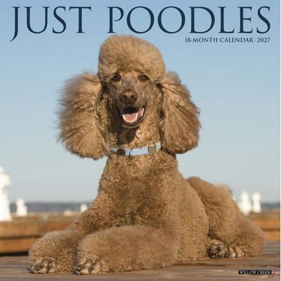 Just Poodles 2027 Wall Calendar