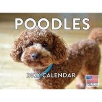 Poodles 2026 Calendar