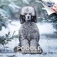Poodles 2026 Calendar