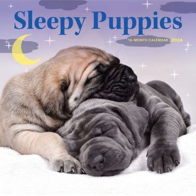 Sleepy Puppies 2027 Wall Calendar