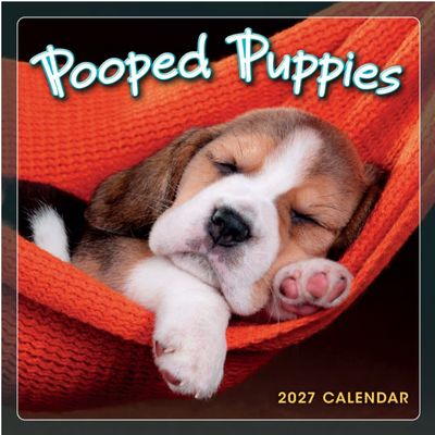 Pooped Puppies 2027 Mini Wall Calendar