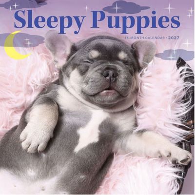 Sleepy Puppies 2027 Wall Calendar