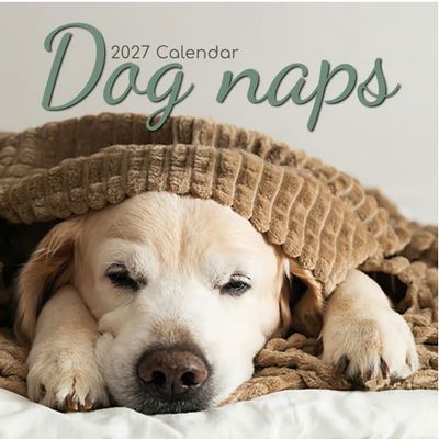 Dog Naps 2027 Wall Calendar