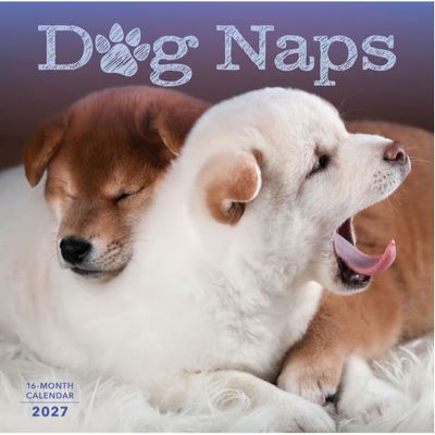 Dog Naps 2027 Wall Calendar