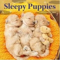 Pooped Puppies Calendar