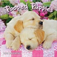 Pooped Puppies 2026 Mini Wall Calendar