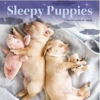 Pooped Puppies 2026 Mini Wall Calendar