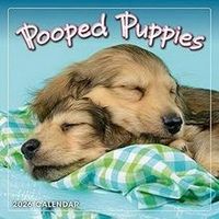 Pooped Puppies 2026 Mini Calendar