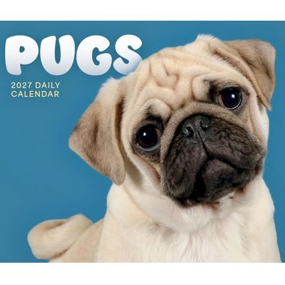 Pugs 2027 Wall Calendar