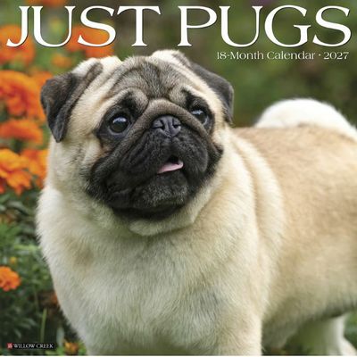 Just Pugs 2027 Wall Calendar