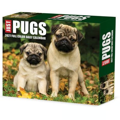 Just Pugs 2027 Desk Calendar