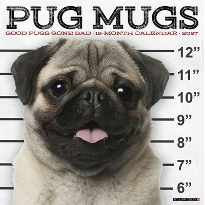 Pug Mugs 2027 Wall Calendar