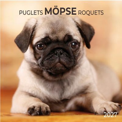 Puglets 2027 Wall Calendar