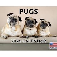 Pugs 2026 Calendar