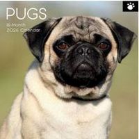 Pugs 2026 Wall Calendar